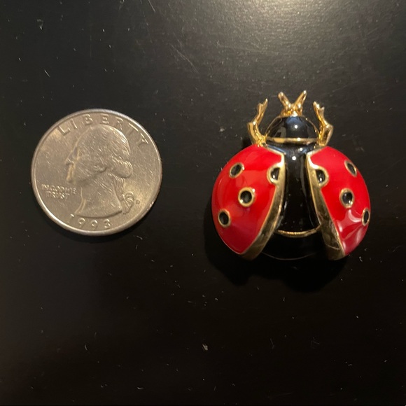 Cute vintage ladybug pin - Picture 4 of 4